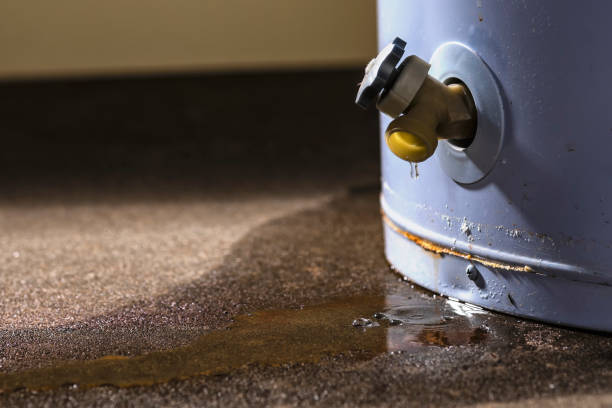 Best Basement water damage restoration  in West Clarkston Highland, WA