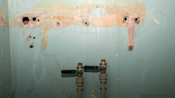 24/7 water damage repair in West Clarkston Highland, WA