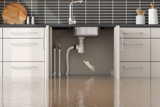 Best 24/7 water damage repair  in West Clarkston Highland, WA