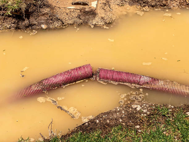 Water damage restoration process in West Clarkston Highland, WA