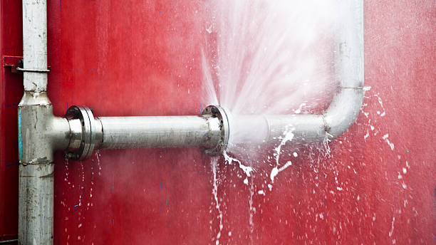 Best Mold removal after water damage  in West Clarkston Highland, WA